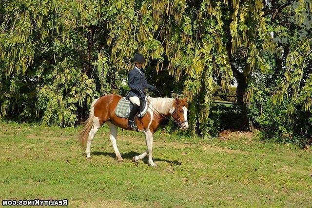 В конюшне удовлетворяет двух наездниц 16 фотография